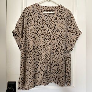 SHEIN Ditsy Floral Batwing Sleeve Blouse